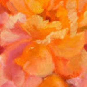 Meet your Posher, Peckham